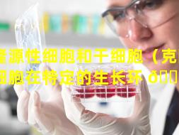 克隆源性细胞和干细胞（克隆源性细胞在特定的生长环 🐱 境）